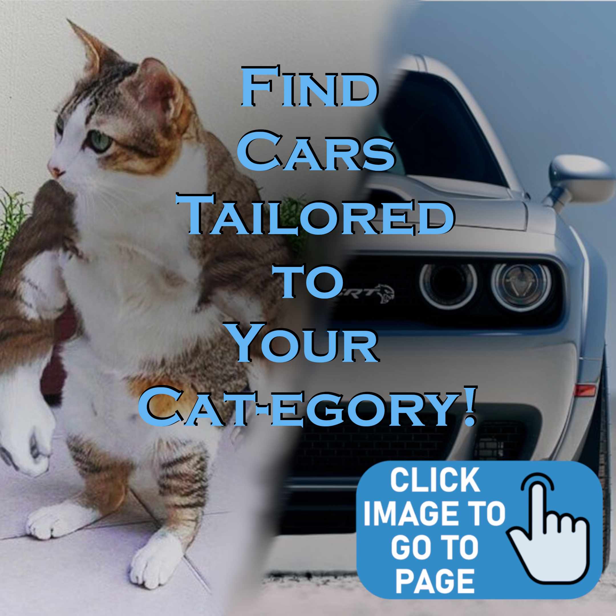 Which Car is Which Cat Page image(click to go)